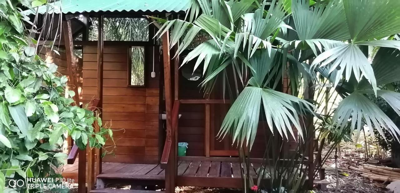 بويرتو مالدونادو Passiflora Lodge Tambopata المظهر الخارجي الصورة