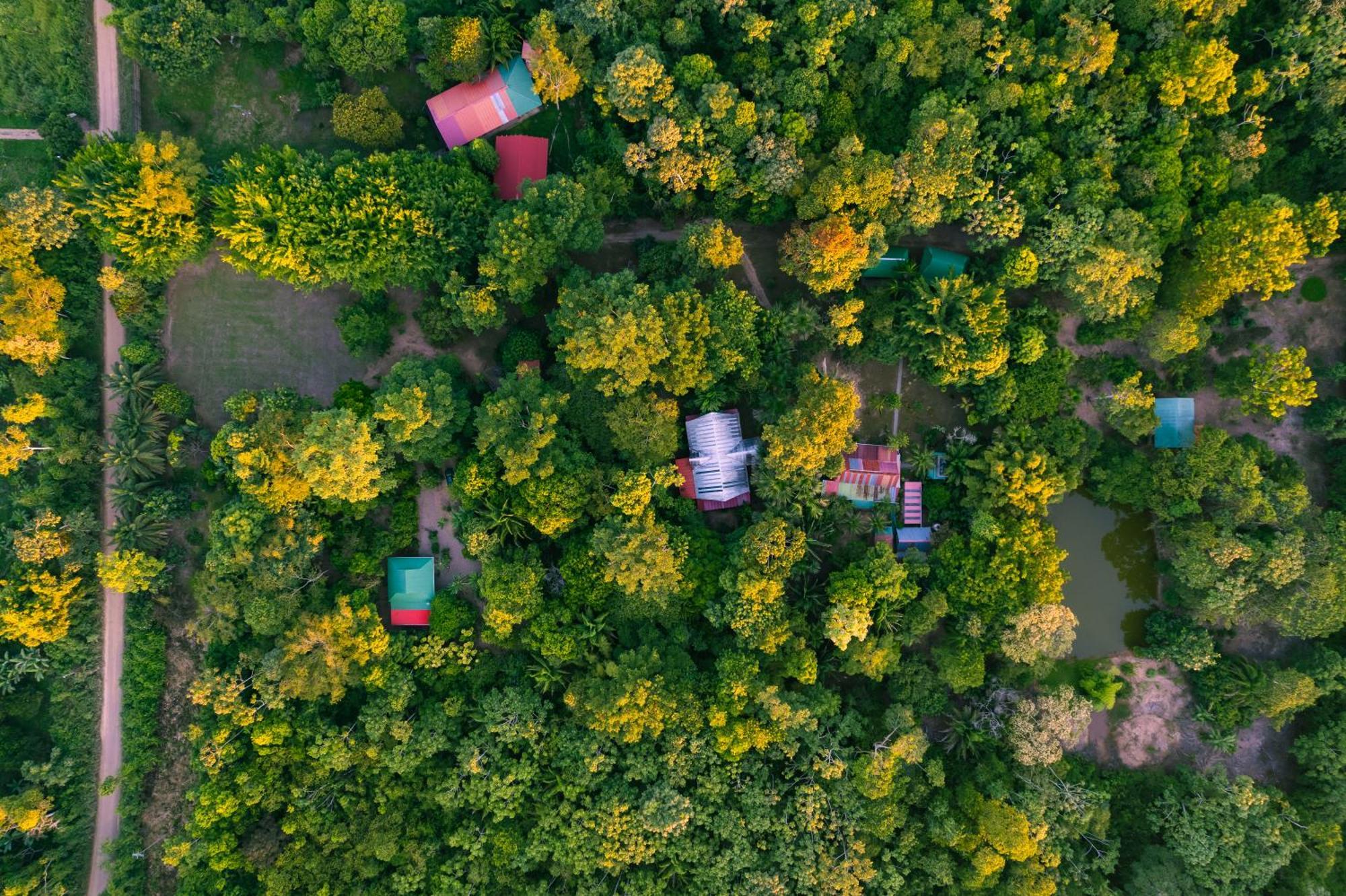 بويرتو مالدونادو Passiflora Lodge Tambopata المظهر الخارجي الصورة
