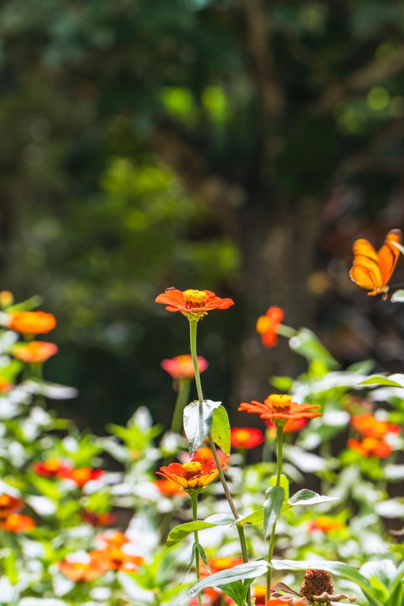 بويرتو مالدونادو Passiflora Lodge Tambopata الغرفة الصورة
